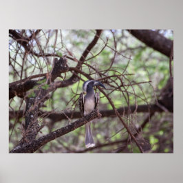 アフリカの農業地域の農業地域 ポスター