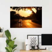 アフリカの道路のライオンのポスター ポスター (ホームオフィス)