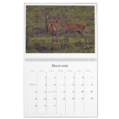 アフリカの野性生物のカレンダー カレンダー (3月 2026)