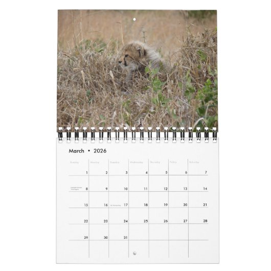 アフリカの野性生物のベビーのカレンダー カレンダー (3月 2026)
