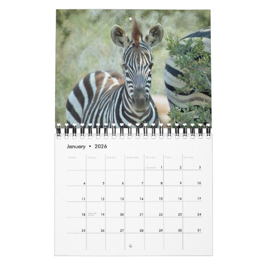 アフリカの野性生物のベビーのカレンダー カレンダー (1月 2026)