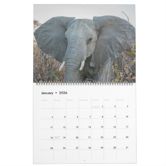 アフリカの野性生物の好みのカレンダー カレンダー (1月 2026)