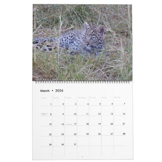 アフリカの野性生物の好みのカレンダー カレンダー (3月 2026)