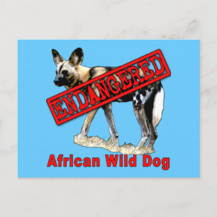 アフリカの野犬が絶滅危惧動物製品 ポストカード