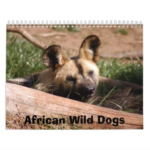 アフリカの野生の犬のカレンダー、アフリカの野生の犬 カレンダー