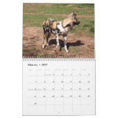 アフリカの野生の犬のカレンダー、アフリカの野生の犬 カレンダー (2月 2027)