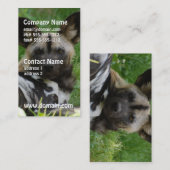 アフリカの野生の犬の写真の名刺 名刺 (正面/裏面)