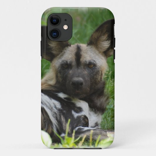 アフリカの野生の犬 Case-Mate iPhoneケース (裏面)
