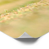 アフリカの野生の犬(Lycaon Pictus) ポスター (角)