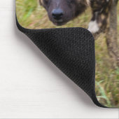 アフリカの野生の犬(Lycaon Pictus)、Madikweゲーム マウスパッド (コーナー)