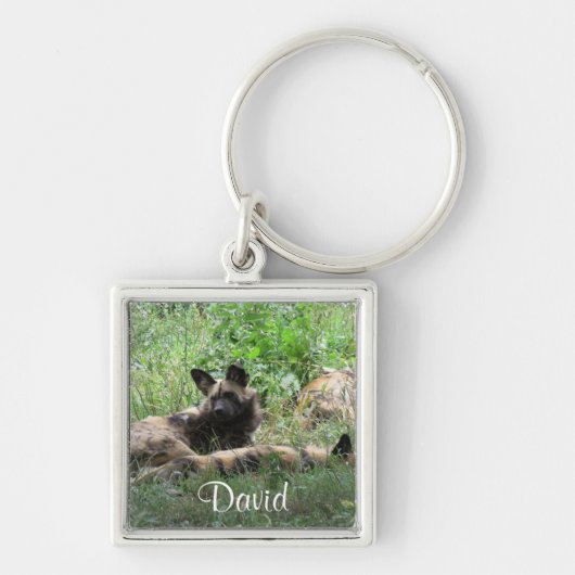 アフリカの野生の犬Keychain キーホルダー (正面)