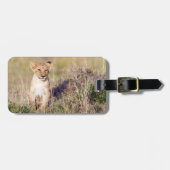 アフリカの野生動物の写真のライオンの子 ラゲッジタグ (正面横)