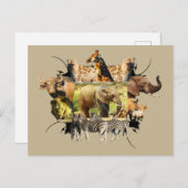 アフリカの野生動物の枠のゾウのスプラッシュ ポストカード (正面/裏面)