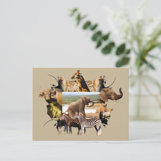 アフリカの野生動物の枠の象の上昇 ポストカード (スタンド正面)