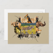 アフリカの野生動物の枠ゼブラ散歩 ポストカード (正面/裏面)