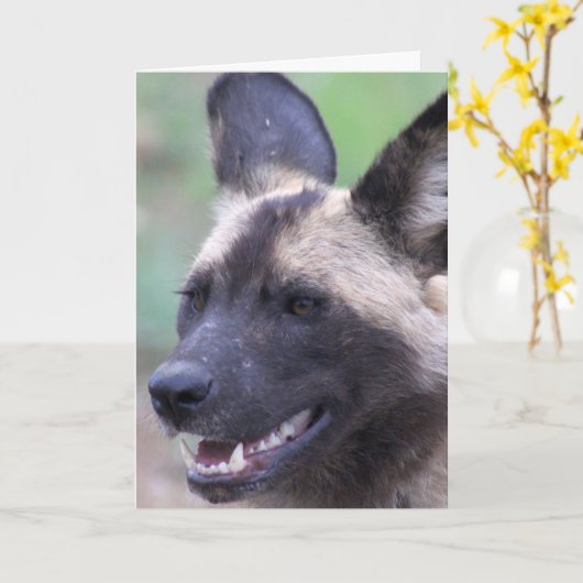 アフリカの野生犬(色彩の鮮やか犬) カード (黄色い花)