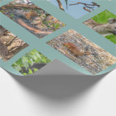 アフリカの野生生物を包む紙 ラッピングペーパー (角)