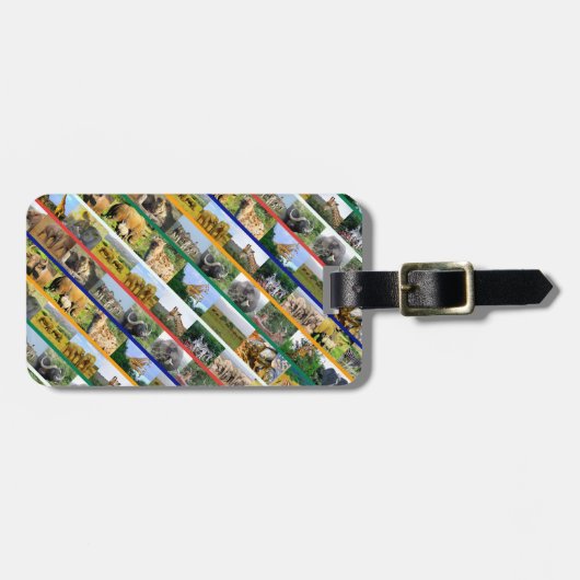 アフリカの野生生物数々のストライプの色コラージュ ラゲッジタグ (正面横)