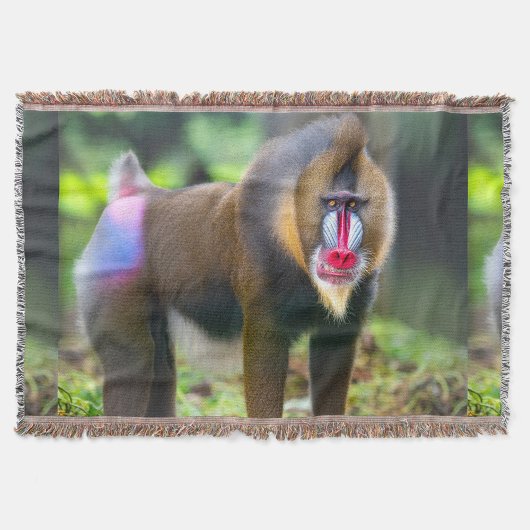 アフリカの野生生物 スローブランケット