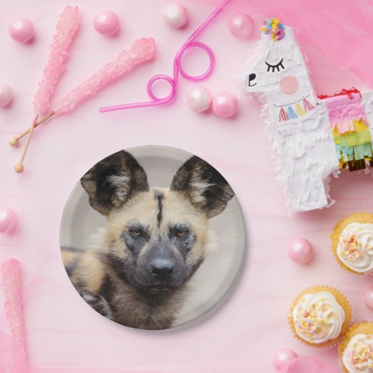 アフリカの野生絵を描犬 ペーパープレート (パーティー)