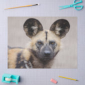 アフリカの野生絵を描犬 薄葉紙 (クラフト)