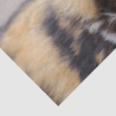 アフリカの野生絵を描犬 薄葉紙 (詳細)