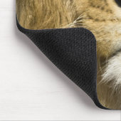 アフリカの野蛮ライオン、パンテラレオ、レオの一人 マウスパッド (コーナー)