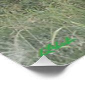 アフリカの降雨 ポスター (コーナー)