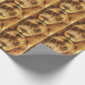 アフリカの雄ライオンのポートレート。 ラッピングペーパー (角)