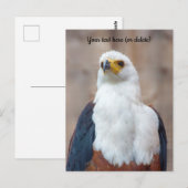 アフリカの魚鷹のポストカード ポストカード (正面/裏面)