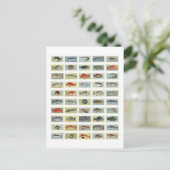 アフリカの魚 ポストカード (スタンド正面)