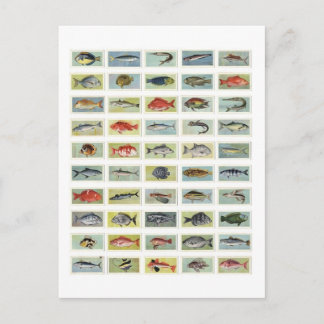 アフリカの魚 ポストカード