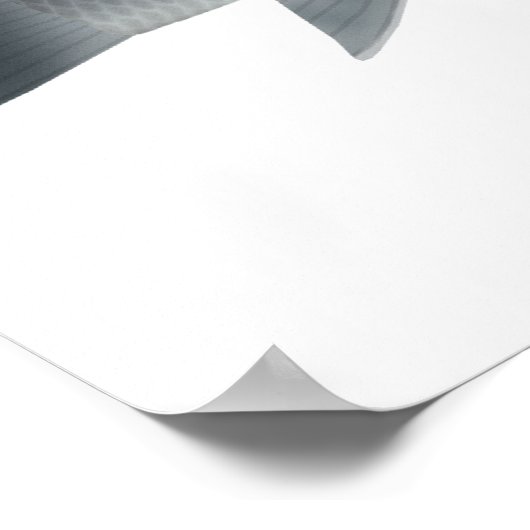 アフリカの鯉 ポスター (角)