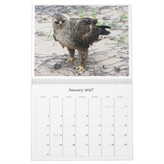 アフリカのBirdlifeはカレンダーに記録します カレンダー (1月 2027)