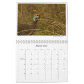 アフリカのBirdlifeはカレンダーに記録します カレンダー (3月 2026)