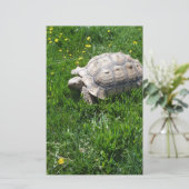 アフリカのsulcataのカメ 便箋 (スタンド正面)