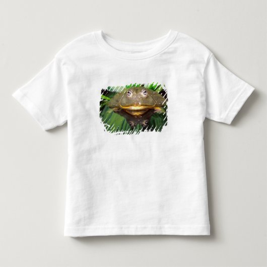 アフリカアナガエル Pyxicephalus 2 トドラーTシャツ (正面)