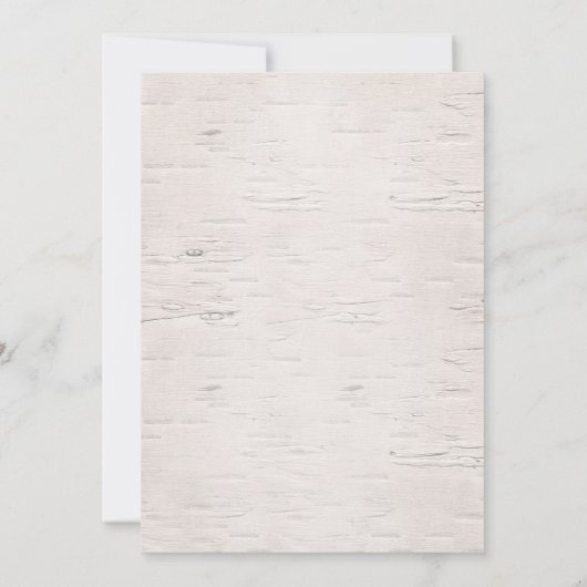 アフリカアメリカの冬のプリンセス誕生パーティー 招待状 (裏面)