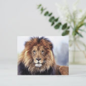 アフリカオス獅子デジタル油彩画 ポストカード (スタンド正面)