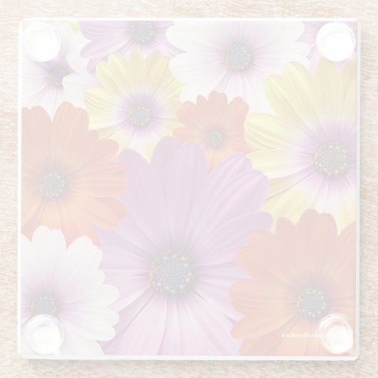 アフリカカラフルデイジーのメドレーの花 ガラスコースター (裏面)