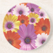 アフリカカラフルデイジーのメドレーの花 コースター (正面)