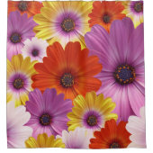 アフリカカラフルデイジーのメドレーの花 シャワーカーテン (正面)