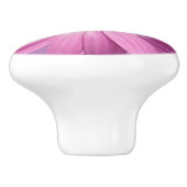 アフリカカラフルデイジーのメドレーの花 セラミックノブ (側面)