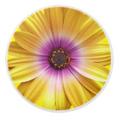 アフリカカラフルデイジーのメドレーの花 セラミックノブ (正面)