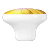 アフリカカラフルデイジーのメドレーの花 セラミックノブ (側面)