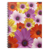 アフリカカラフルデイジーのメドレーの花 ノートブック (正面)