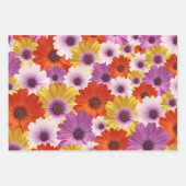 アフリカカラフルデイジーのメドレーの花 ラッピングペーパーシート (正面3)