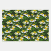アフリカカラフルデイジーのメドレーの花 ラッピングペーパーシート (正面2)
