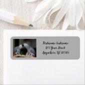 アフリカキスをするグレーのオウムかわいい鳥のアドレス ラベル (インサイチュ)