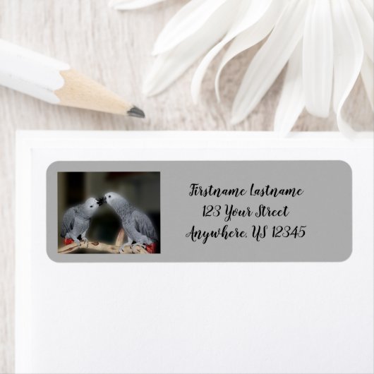 アフリカキスをするグレーのオウムかわいい鳥のアドレス ラベル (インサイチュ)